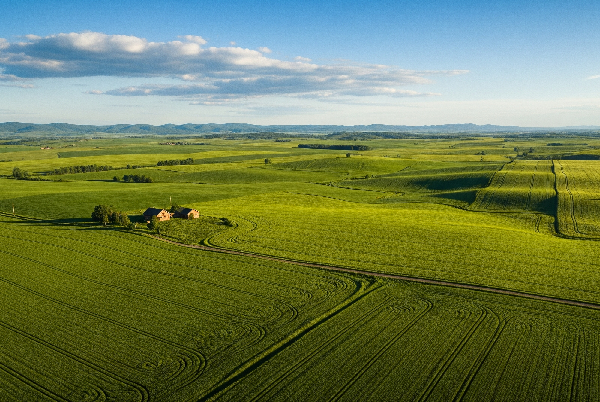 IR情報イメージ